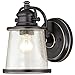 Westinghouse 6204000 Emma Jane One-Light Outdoor Wall Lantern, 1-Pack, Black