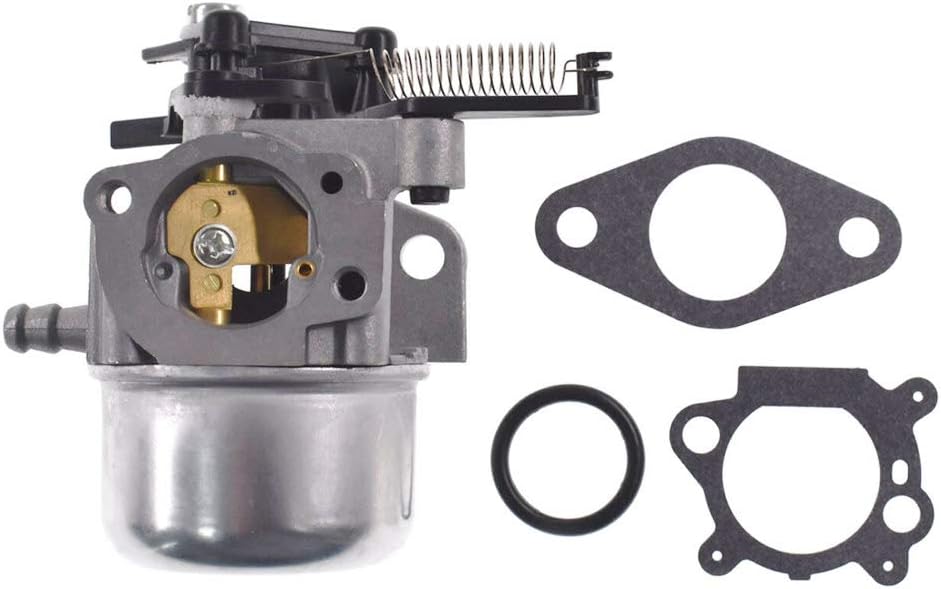 DKIIGAME Carburetor for Troy bilt Pressure washer7.75 Hp 8.75 Hp 8.5Hp 190CC, Replaces Briggs and Stratton 2700 3100PSI 796608 591137 590948 594287 799248 : Garden & Outdoor