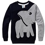 Little Hand Little Boys Color Block Animal Print Sleeve Sweater T-Shirt
