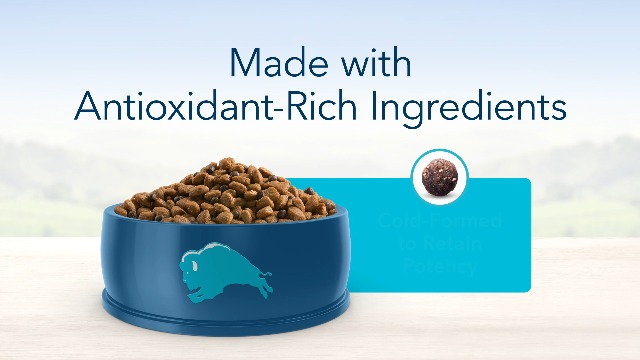 blue life protection formula senior