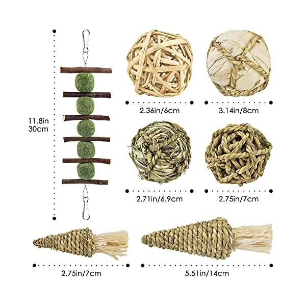 ERKOON Guinea Pig Treat Toys, Small Animal Chew Boredom Breaker Natural Rabbit Hamster Teeth Care Molar Grass Balls…