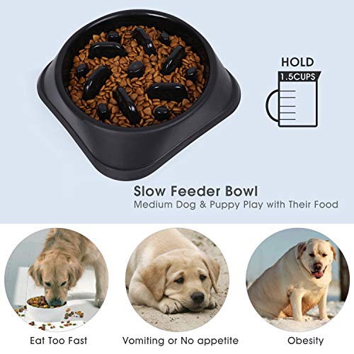 JASGOOD Slow Feeder Dog Bowl with Collapsible Dog Bowl-Puppy Puzzle Dog Food Bowl,Fun Feeder No Choking,Slow Eating Dog Bowl for Medium Dogs(Black,for S & M Dogs)