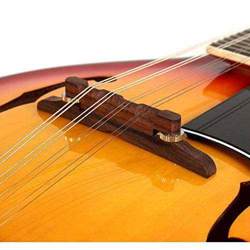 4 Hola+Music+Instrument+Adjustable+Truss+Rod