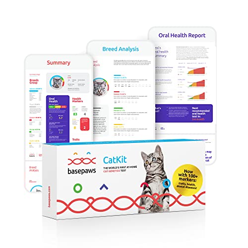 Basepaws Cat DNA Test Kit Comprehensive Breed, Health and Dental
