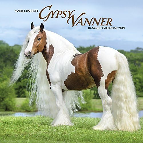 GYPSY VANNER HEAVY HORSES 2019 CALENDAR WALL SQUARE (30cm x 30cm SEALED willow creek