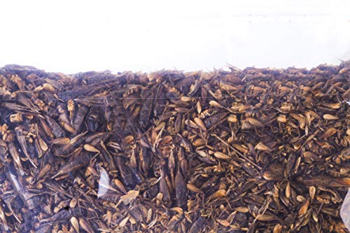 Hatortempt 5lbs Dried Cricket for Chicken,Wild Bird,Fish,Reptiles