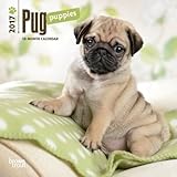 Pug Puppies - 2017 Mini Calendar 7 x 7in