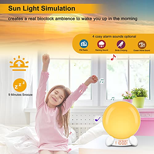 DreamSky Digital Alarm Clock Radio Wake Up Light Clock for Bedroom
