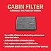 Champion CCF7739 Activated Carbon Replacement Cabin Air Filter