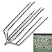 Lonkiktik Fishing Harpoon Fishing Spear Gig Gaff Fork Hook with 8mm Screw for Frog Barbed Stainless Steel 7 Prong Tine (7 Round Prong)