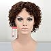 MyNiceHair-100% Pure Human Hair Curly Brown Colored 4# Wigs for Black Women