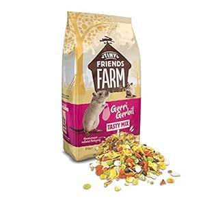 Supreme Gerri Gerbil Food 850gm