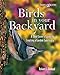 Birds in Your Backyard by 