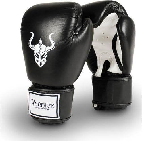 warrior boxing gloves