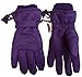 N'Ice Caps Kids Extreme Cold Weather 100 Gram Thinsulate Waterproof Ski Gloves