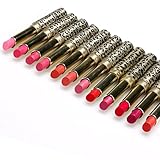 Sankuwen 12pcs/Set Leopard Waterproof Lipsticks Lip Makeup Lot Lasting Moisturizing Lip Stick