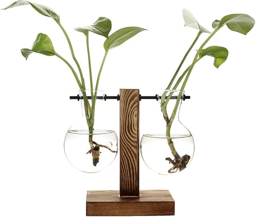 Amazon Com Beher Hydroponic Vase Vintage Glass Water Planting Planter Desktop Hanging Bulb Vase Hydroponics Plants Office Desk Wedding Decor Retro Plant Terrarium Wooden Stand Home Kitchen