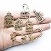 Youdiyla 100g Birdcage Charms Collection - Hollow Bird Cage Love Bird Cage Bird in a Cage Metal Pendants for Jewelry Making DIY Findings (Bronze HM30)