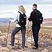 Alpine Summit Hiking Trekking Poles with Anti-Shock Tips, Best 2 Piece Adjustable Walking Survival Sticks for Women & Men, Collapsible Lightweight Strong Aluminum for Travel, Cork Grip Padded Handles