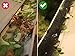 Kenley Gutter Brush Leaf Guard 15 ft. - Catches Leaves & Prevents Clogging - Clear Downspouts & Drains - 5 inch Screen Cover Guards Whiskers for Gutters - UV-Protected, Steel Wire, Connection System