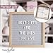 Letter Board - Improved Gray Felt Letter Board 10x10 inches - Message Board with 340 Changeable Letters Emojis Numbers with Bag and Premium Oak Frame and Wall Mount (Gray)