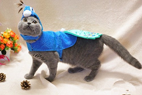 Kailian ® Hot Cute Dog Cat Hat - Image 7