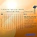 IMAGE Solar Curtain Lights 8 Modes 9.8x9.8 Feet Solar String Lights for Wedding Party Home Decoration Backdrops Full Waterproof UL Safety Standard Warm White