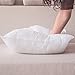 HIPPIH 4 Pack Pillow Insert - 18 x 18 Inch Hypoallergenic Decorative Square Sofa and Bed Pillow Form Inserts