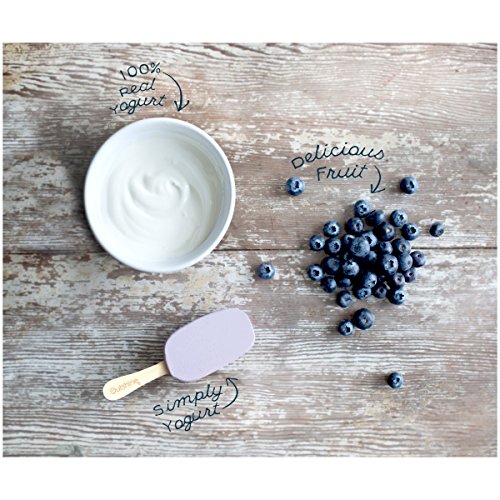 OUTSHINE Simply Yogurt Bars, Blueberry, 4 count Box