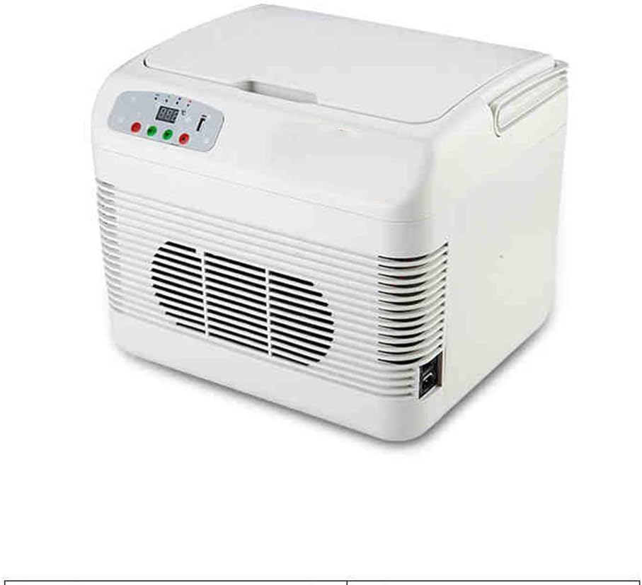 The 10 Best Mini Vaccine Refrigerator