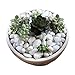 Wayber Decorative Stones, 1 Lb/455g White Stones Rock Crystal Sands for Bonsai Succulent Plants Ornament/Bottom Decoration/Aquarium Turtle Tank Landscape (Fills 1&1/4 Cups)