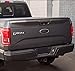 2004-2014 Ford F150 Front Grille Tailgate Emblem, Oval 9