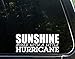Sweet Tea Decals Sunshine Mixed with A Little Hurricane - 8
