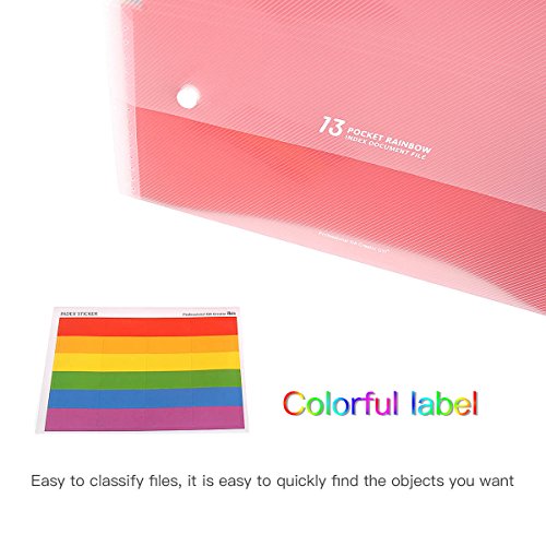 HJSMing 13 Pockets Portable File Folders/Rainbow Folder Organizer/Expandable Plastic Folders/A4 Letter Size File Organizer with Buttons-for School Office Supplies