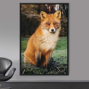 signwin Framed Canvas Wall Art Red Fox Animals...