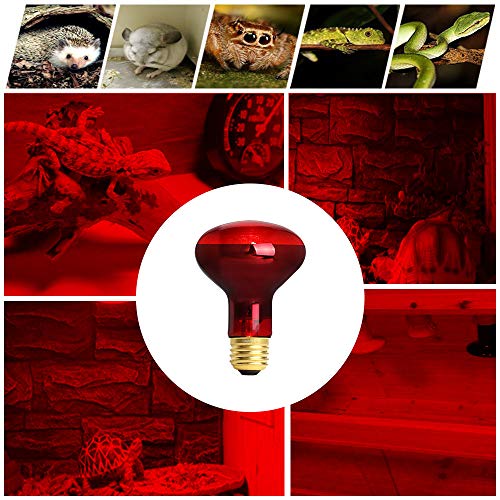 OMAYKEY 75W Infrared Spot Heat Lamp Bulb Red Light Glass Heating Lamps Bulbs for Lizard Snake Chameleon Bearded Dragon Aquarium Reptile & Amphibian - 2 Pack