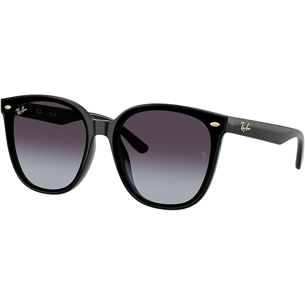 Ray-Ban RB4259F Sunglasses Bundle: RB 4259F 601/80 Black
