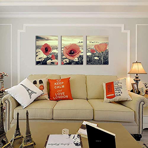 Canvas Wall Art for Living Room Red Poppy Decor Painting White and Black Background Floral Pictures Print Artwork 12x16inch x3Pieces