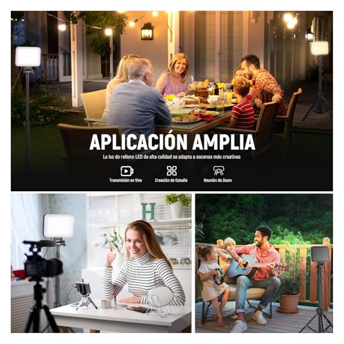 NEEWER Básico Panel Luz Vídeo LED Kit, 2 Pack Bicolor Estudio Foco Portátil con Soporte para Trípode y Filtros, 3200K~5600K CRI 95 750lux para Fotografía, Grabación, Transmisión en Vivo, BP66