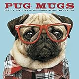 Pug Mugs 2020 Mini Wall Calendar (Dog Breed Calendar) by