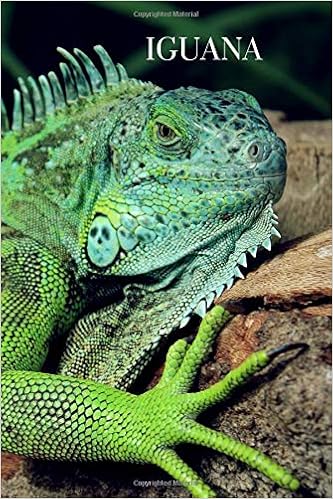 Iguana Notebook With Animals For Kids Notebook For Coloring Drawing And Writing Realistic Colors 110 Pages Unlined 6 X 9 Animal Glossy Notebook Notebook Animal Glossy Journals Notebooks 9781073432028 Amazon Com Books