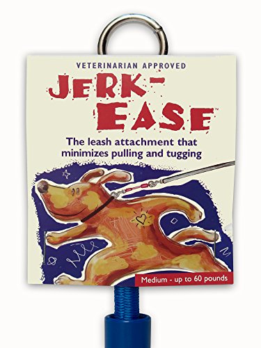 Jerk-Ease Bungee Dog Leash Extension - Medium Blue