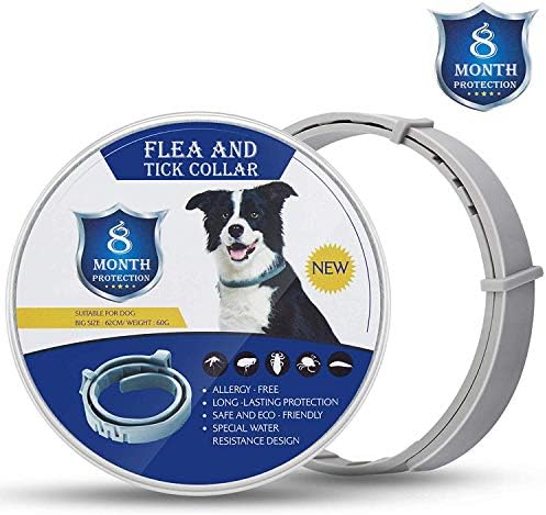 Beiyoyo Collier Pour Chien Hypoallergénique Et étanche Pour