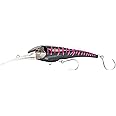 Nomad Design Standard DTX Minnow 200 with Patented Autotune System - Distressed Baitfish Swimming Action, BKK Diablo 5X Singles 11/0 Hooks, 200 SNK 8, 40ft