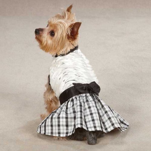 East Side Collection Polyester The First Lady Ruffle Taffeta Dog Dress, XX-Small, 8-Inch, White