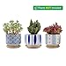 T4U 3 Inch Ceramic Succulent Planter Pots with Bamboo Tray Set of 3, Japanese Style Porcelain Handicraft as Gift for Mom Sister Aunt Best for Home Office Restaurant Table Desk Window Sill Decoration