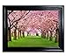 Those Flipping Pictures-Framed Parent (Leaves on Trees)