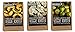 Urban Accents All Natural Gluten Free Veggie Roaster Vegetable Seasoning 3 Flavor Variety Bundle: (1) Urban Accents Balsamic & Roasted Onion Veggie Roaster, (1) Urban Accents Parmesan Mediterranean Veggie Roaster, and (1) Urban Accents Manchego & Roasted Garlic Veggie Roaster, 1.25-1.75 Oz. Ea.