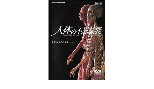Amazon Com 人体の不思議展 Dvd Movies Tv
