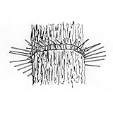 Ultrason martre Ultrason martre